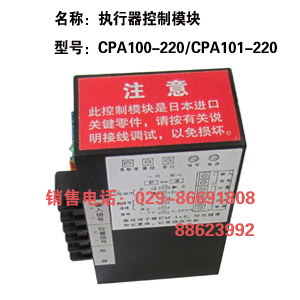 綯ģ CPA101-220 ģ